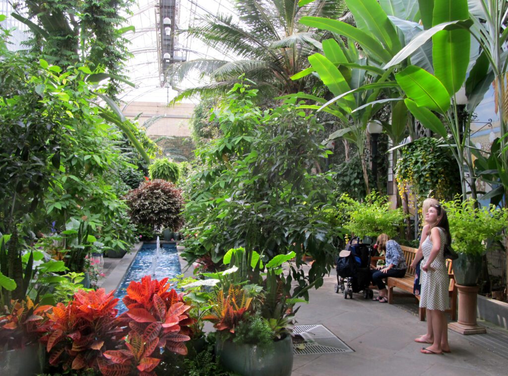 Tropical Garden Walk with Layered Plantings and Paved Path