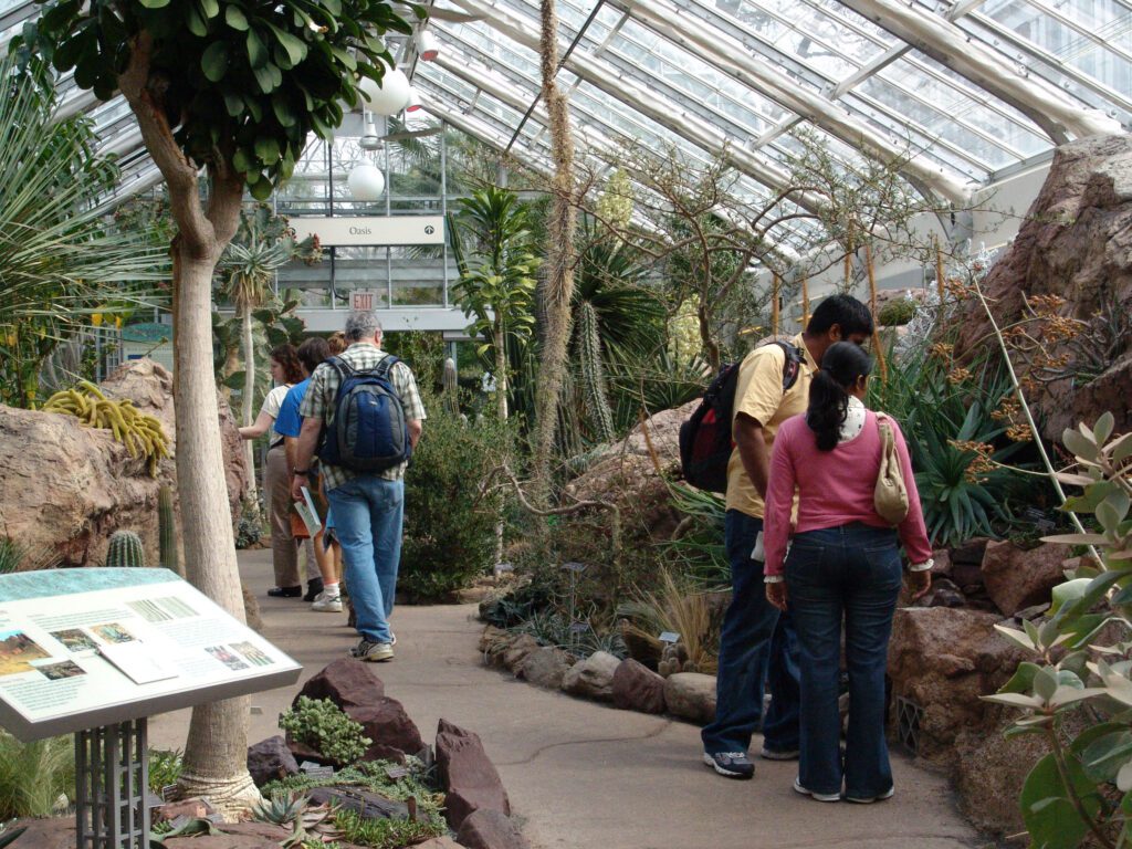 Arid Garden Walk with Rockwork, Specimen Planting, and Pathway